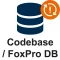 Codebase / FoxPro DB – support & maintenance after expiration