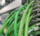 We train the basics and troubleshooting of PROFINET networks | FOXON Academy