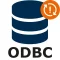 ODBC DB – support & maintenance after expiration