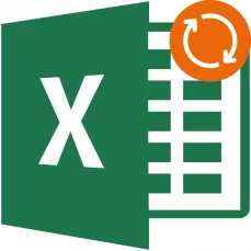 Excel – support & maintenance for 1 year (extension)