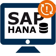 SAP HANA DB – support & maintenance after expiration