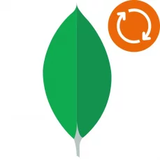 MongoDB OPC Router Plug-in,⁠ Extension of the update & support for 1 year